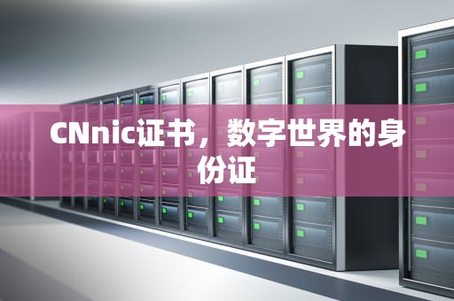 CNnic证书，数字世界的身份证