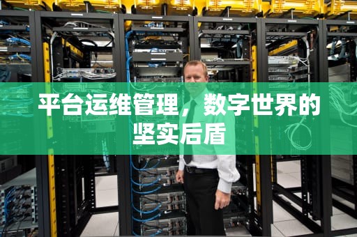 平台运维管理，数字世界的坚实后盾