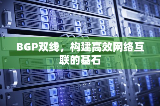 BGP双线，构建高效网络互联的基石
