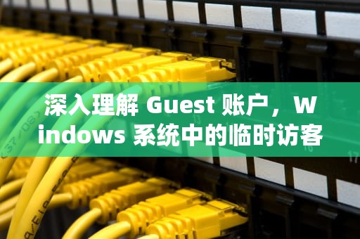 深入理解 Guest 账户，Windows 系统中的临时访客账户