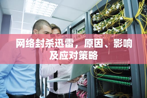 网络封杀迅雷，原因、影响及应对策略