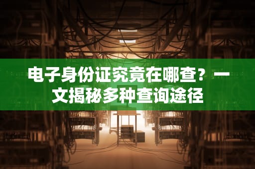 电子身份证究竟在哪查？一文揭秘多种查询途径