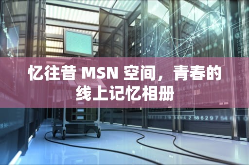忆往昔 MSN 空间，青春的线上记忆相册