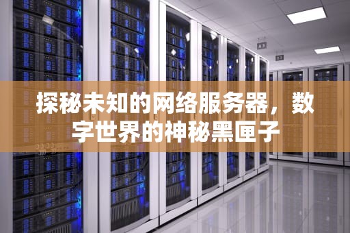 探秘未知的网络服务器，数字世界的神秘黑匣子