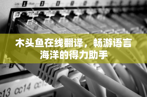 木头鱼在线翻译，畅游语言海洋的得力助手
