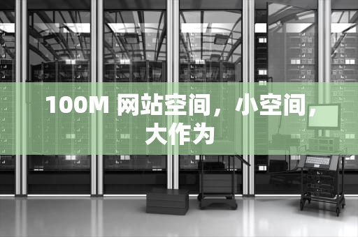 100M 网站空间，小空间，大作为