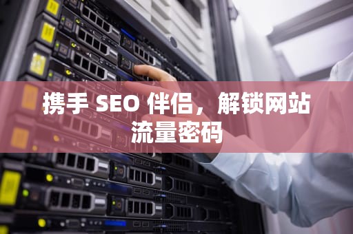 携手 SEO 伴侣，解锁网站流量密码