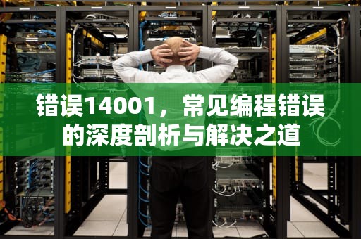 错误14001，常见编程错误的深度剖析与解决之道