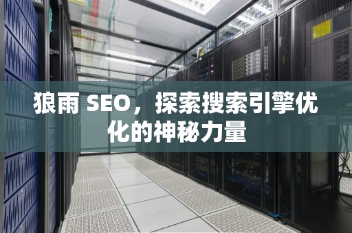狼雨 SEO，探索搜索引擎优化的神秘力量