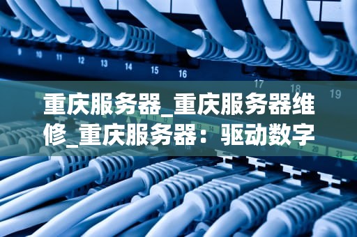 重庆服务器_重庆服务器维修_重庆服务器：驱动数字化经济的核心动力