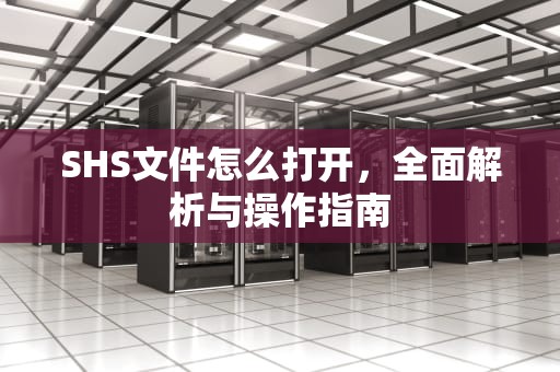 SHS文件怎么打开，全面解析与操作指南