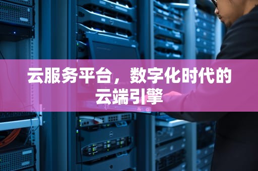 云服务平台，数字化时代的云端引擎
