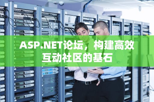 ASP.NET论坛，构建高效互动社区的基石