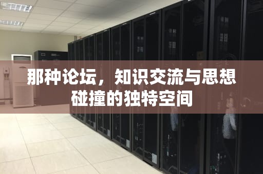 那种论坛，知识交流与思想碰撞的独特空间