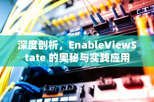 深度剖析，EnableViewState 的奥秘与实践应用
