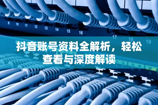 抖音账号资料全解析，轻松查看与深度解读