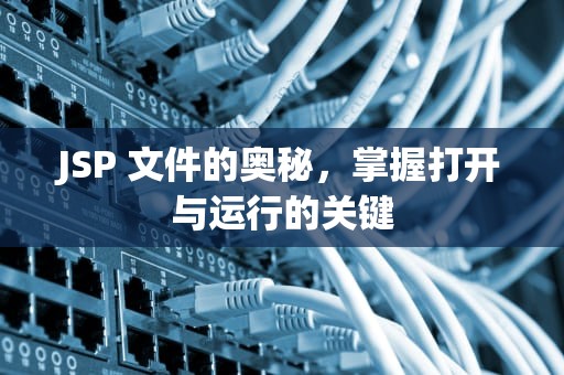 JSP 文件的奥秘，掌握打开与运行的关键