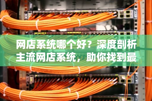 网店系统哪个好？深度剖析主流网店系统，助你找到最佳选择