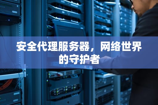 安全代理服务器，网络世界的守护者