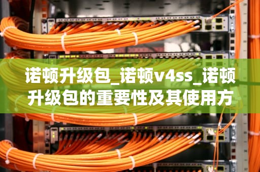 诺顿升级包_诺顿v4ss_诺顿升级包的重要性及其使用方法