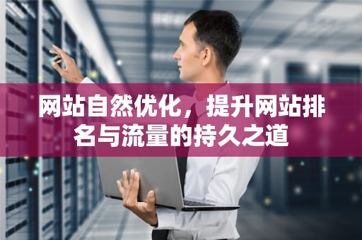 网站自然优化，提升网站排名与流量的持久之道