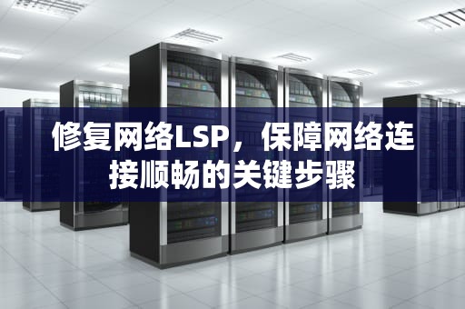 修复网络LSP，保障网络连接顺畅的关键步骤