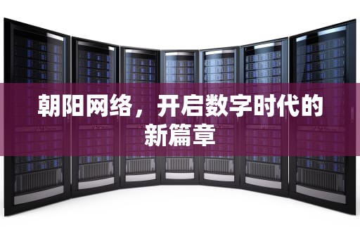 朝阳网络，开启数字时代的新篇章