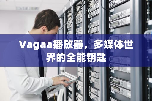Vagaa播放器，多媒体世界的全能钥匙