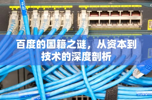 百度的国籍之谜，从资本到技术的深度剖析