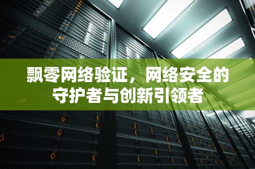 飘零网络验证，网络安全的守护者与创新引领者