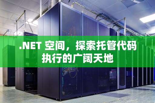 .NET 空间，探索托管代码执行的广阔天地