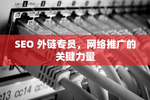 SEO 外链专员，网络推广的关键力量