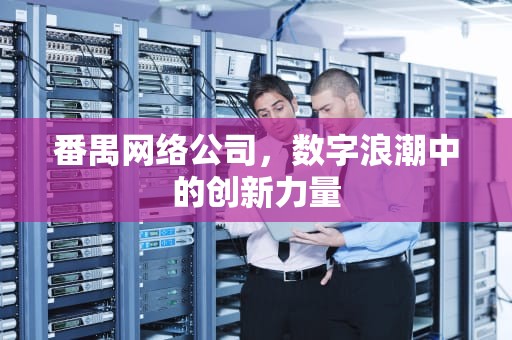番禺网络公司，数字浪潮中的创新力量