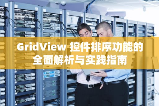 GridView 控件排序功能的全面解析与实践指南