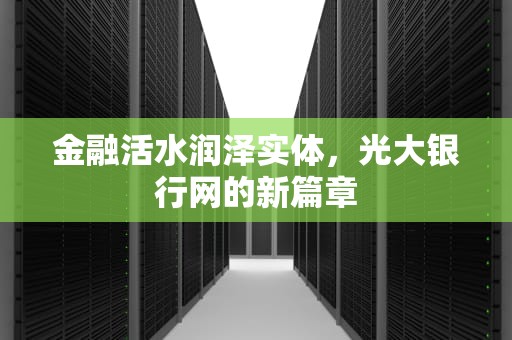 金融活水润泽实体，光大银行网的新篇章