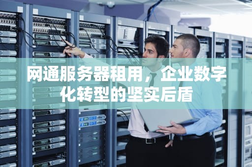 网通服务器租用，企业数字化转型的坚实后盾