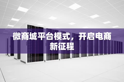 微商城平台模式，开启电商新征程