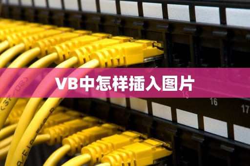 VB中怎样插入图片