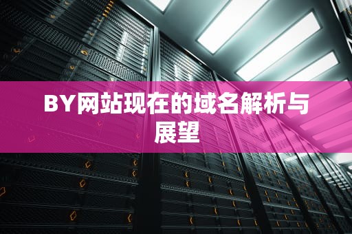 BY网站现在的域名解析与展望