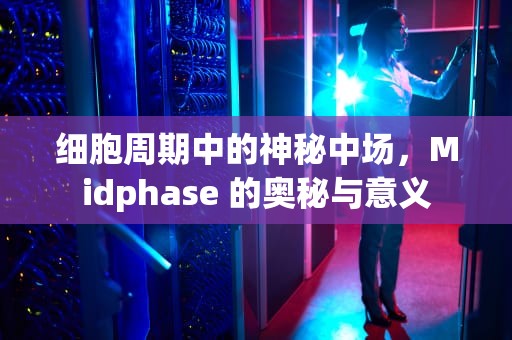 细胞周期中的神秘中场，Midphase 的奥秘与意义