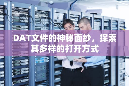 DAT文件的神秘面纱，探索其多样的打开方式