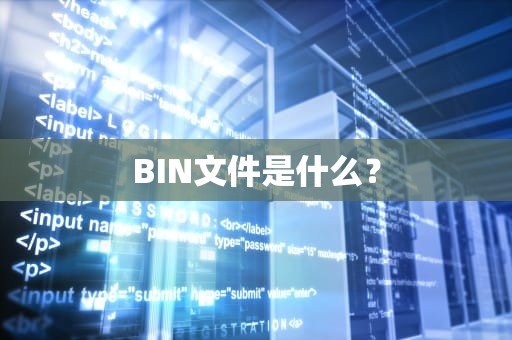 BIN文件是什么？