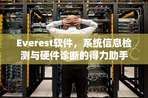 Everest软件，系统信息检测与硬件诊断的得力助手