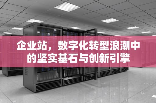企业站，数字化转型浪潮中的坚实基石与创新引擎