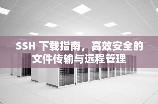 SSH 下载指南，高效安全的文件传输与远程管理