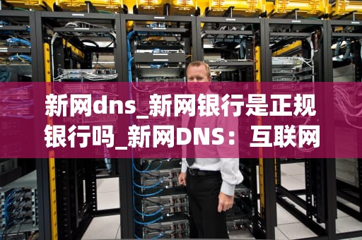 新网dns_新网银行是正规银行吗_新网DNS：互联网的“导航员”