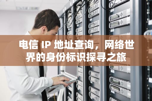 电信 IP 地址查询，网络世界的身份标识探寻之旅