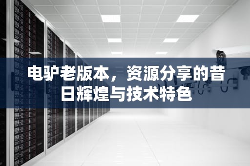 电驴老版本，资源分享的昔日辉煌与技术特色