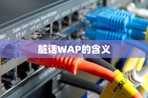 脏话WAP的含义
