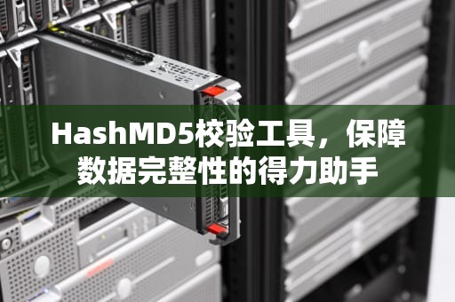 HashMD5校验工具，保障数据完整性的得力助手